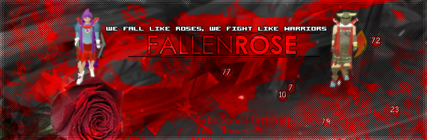 Fallen Rose!