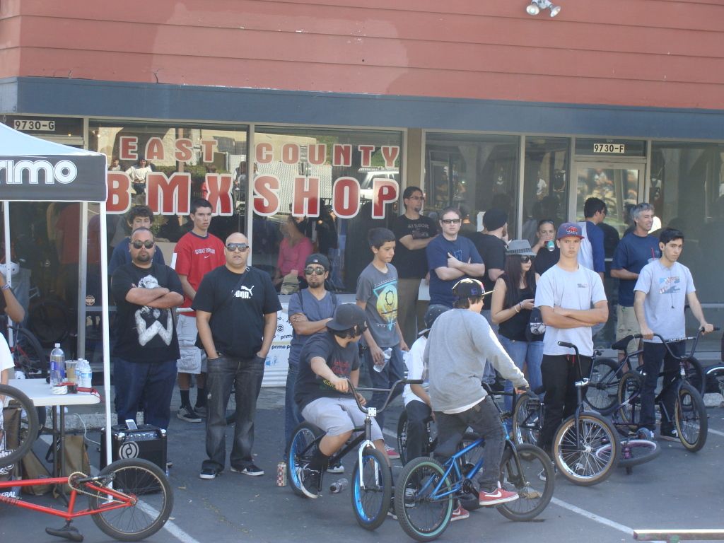 cult bmx team