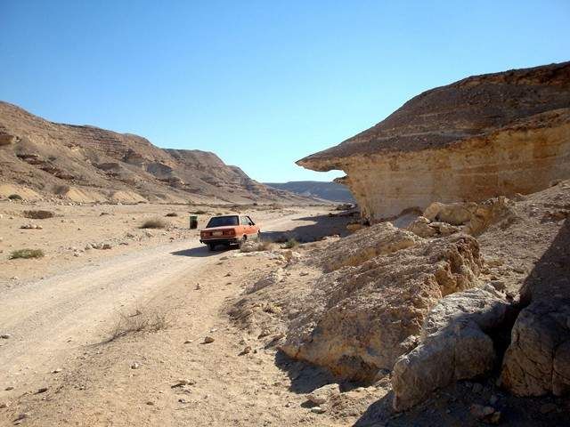 رحلة الى صحراء جبلية ( محمية وادى دجلة ) ...تقرير