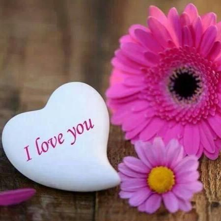 &amp;amp;amp;amp;amp;Atilde;&amp;amp;amp;amp;amp;Acirc;&amp;amp;amp;amp;amp;plusmn; love you photo: love you 1896740_744717735550555_1983489049_n_zpse342e47e.jpg