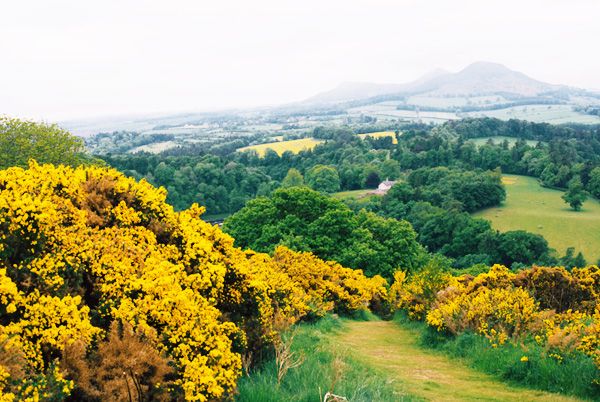  photo scotland21600_zpsc32fb50b.jpg