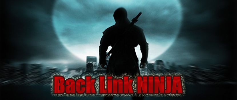 Back Link Ninja