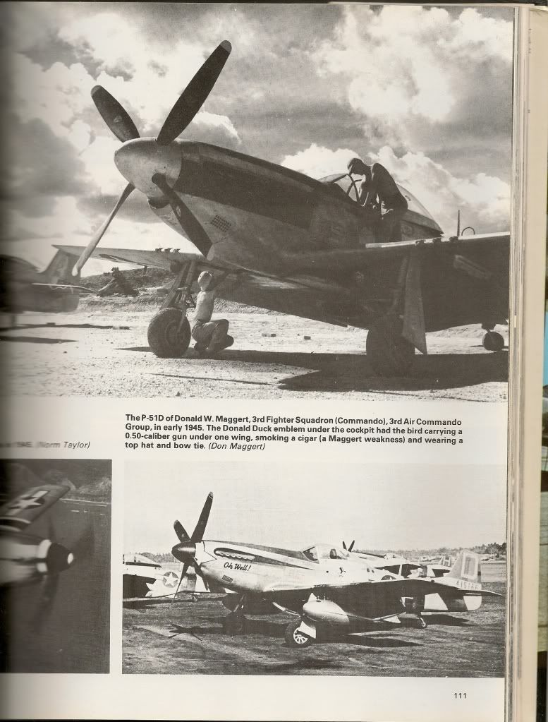 P-51war-up1_zps3f047d9c.jpg