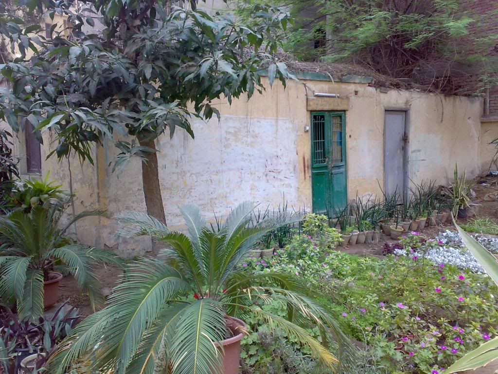 صورة