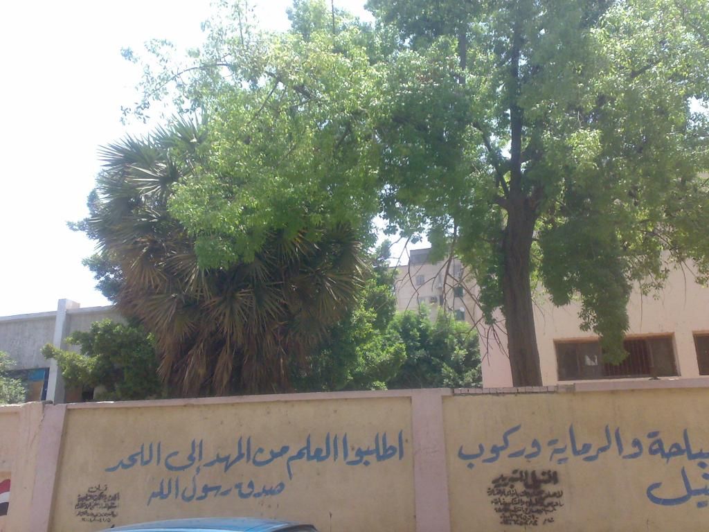 صورة