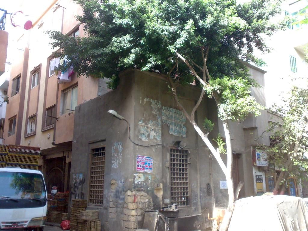 صورة