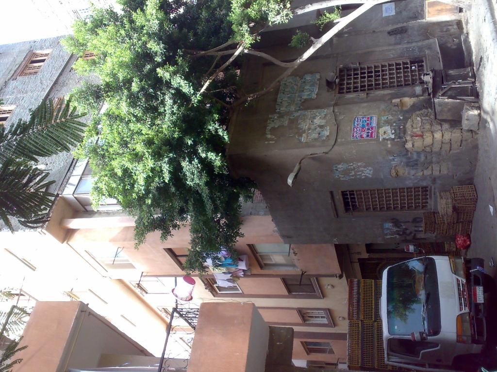 صورة