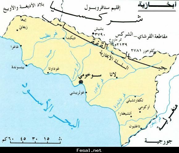 صورة