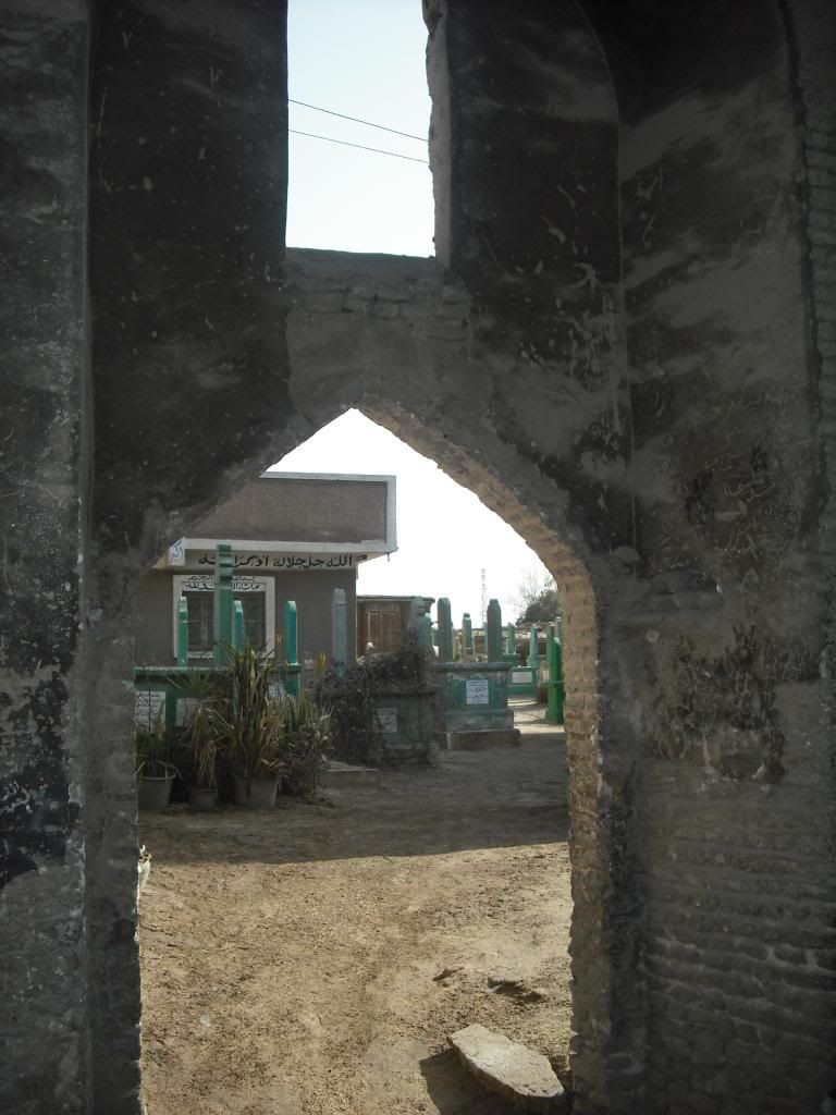 صورة