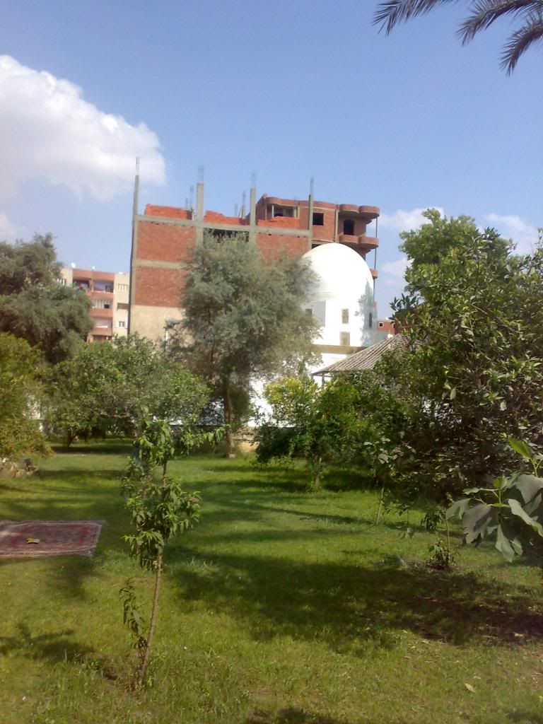 صورة