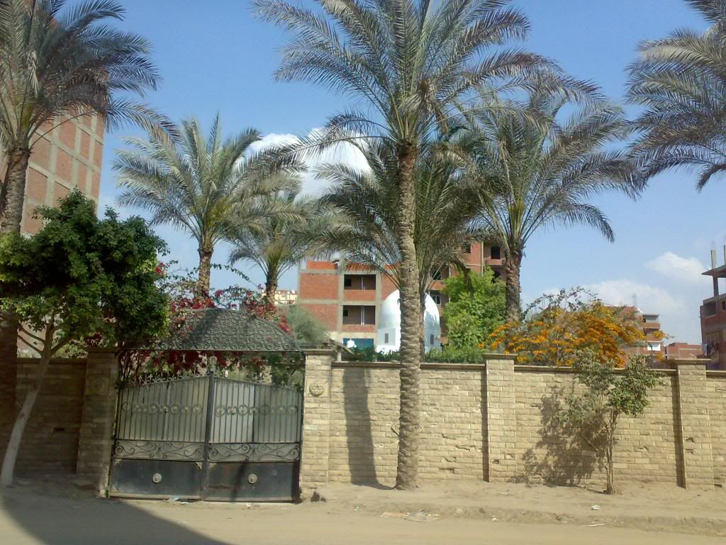 صورة