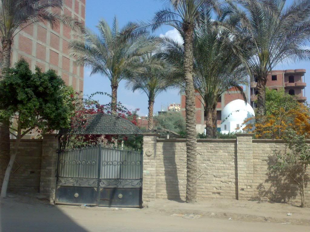 صورة