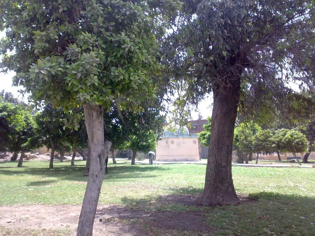 صورة