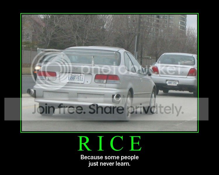 rice_zpsd6fdb402.jpg