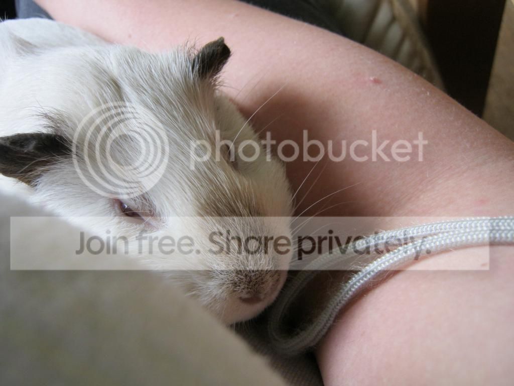 IMG_2760_zpsabd04a0b.jpg